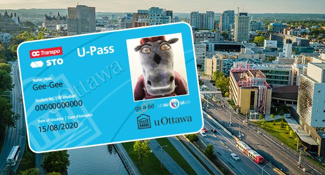 U-Pass card