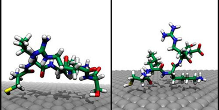 Simulation moléculaire de l&#039;adsorption de peptides sur une surface Ag {111}