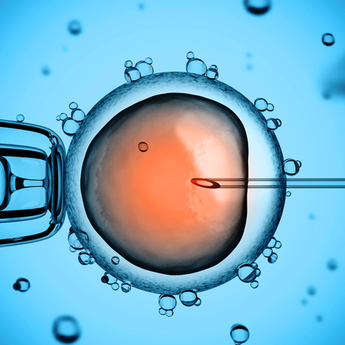 Stem cell biology and organismal development