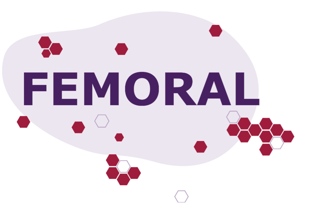 Femoral database logo
