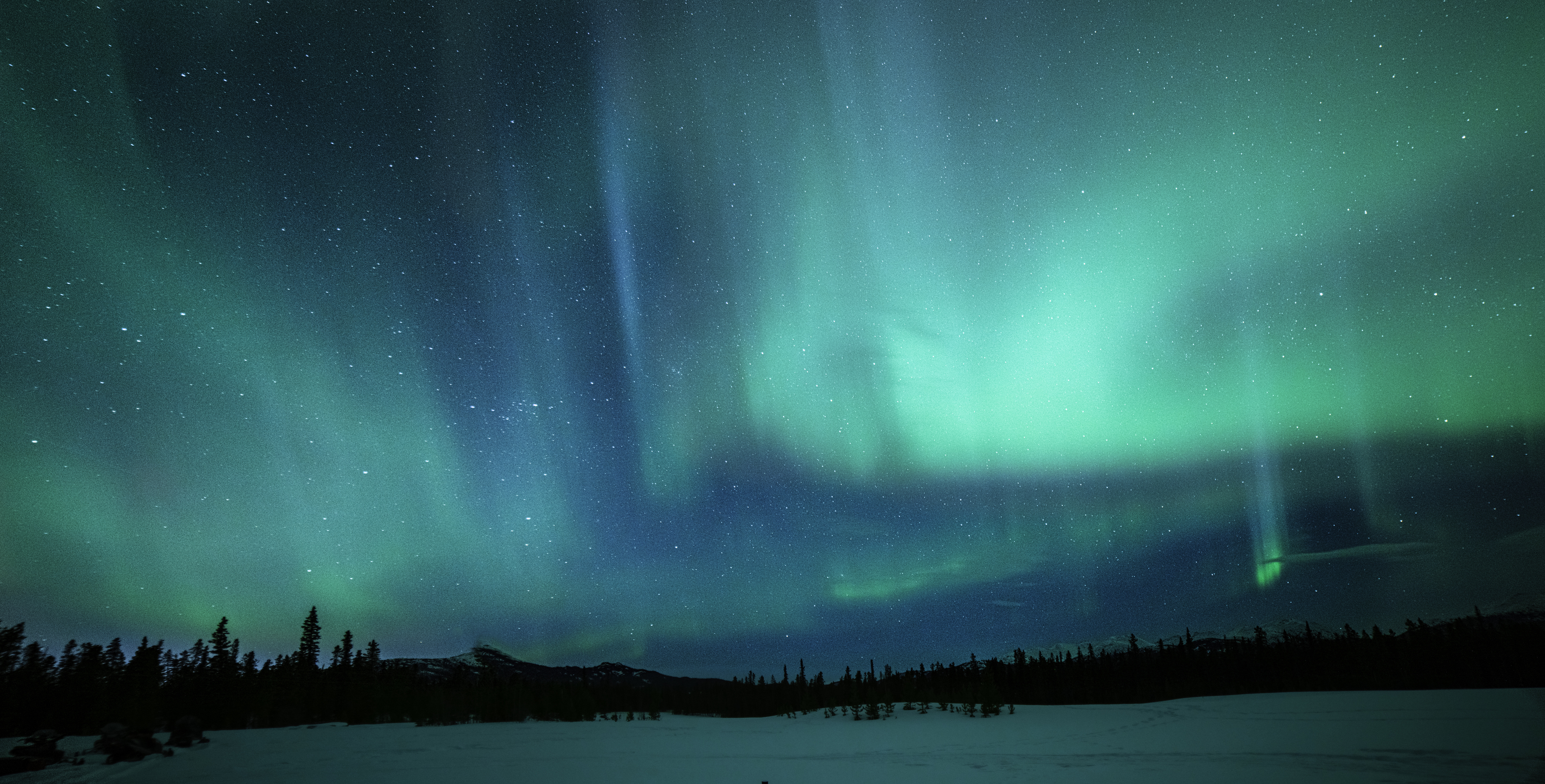 Aurora as seen from about 30 minutes south of Whitehorse in the Yukon