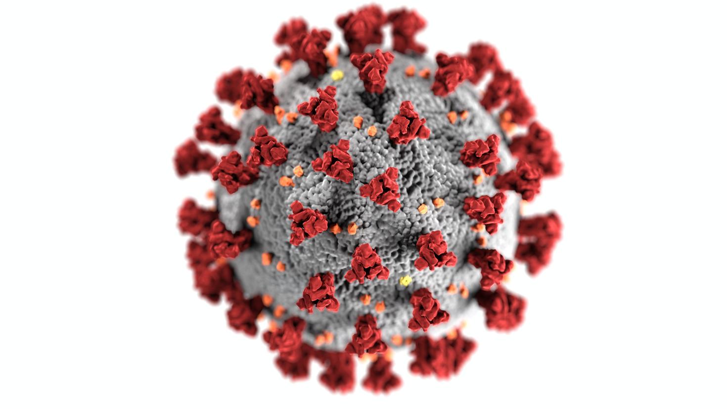 A virus seen up close