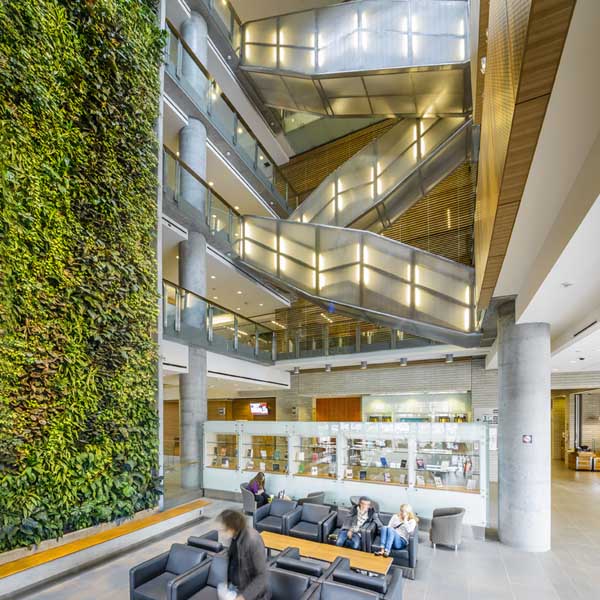 Living wall in FSS building 